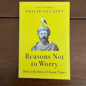 Reasons Not to Worry by Brigid Delaney - Yellow Cover